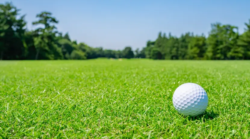 golf yasmine valley hammamet