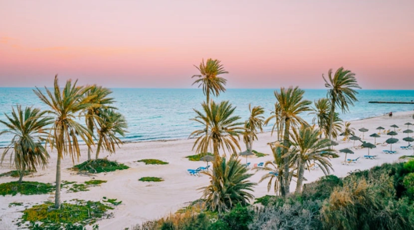 5 hotels early booking djerba 2026